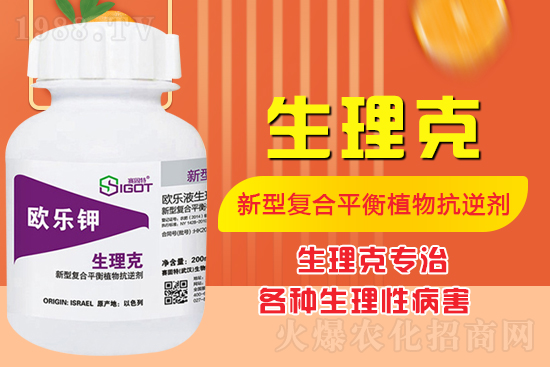 ����Ě������ʲô�Y������ô��Q����Ě������