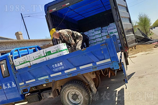 ���N(xi��o)��Ʒ����(sh��)���S��������2̖(h��o)�l(f��)؛��ͣЪ