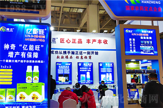 ֲ�ﲡ�����ġ����ǡ����ٚ����x�׷�ʭ������Ч���L�_40�죡