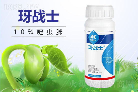 早春蚜蟲很容易大爆發(fā)，怎么避免黃瓜蚜蟲危害？