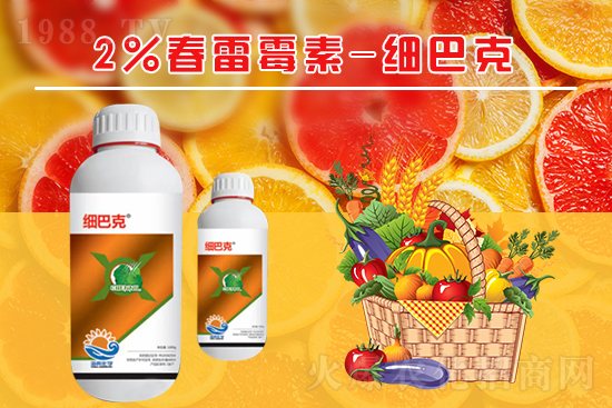 番茄潰瘍病怎么辦？聽聽專家怎么說！