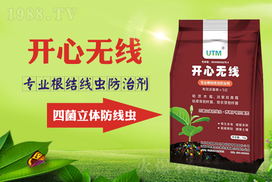 根結(jié)線蟲危害大？線蟲防治意見匯總！