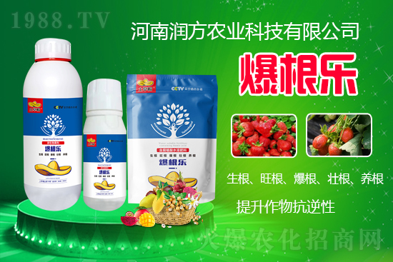     河南潤(rùn)方農(nóng)業(yè)科技有限公司【微生物菌劑-爆根樂(lè)-土草帽】可幫助植物建立強(qiáng)壯強(qiáng)大的根系，促進(jìn)植物對(duì)土壤養(yǎng)分、水分與氣體的吸收利用。生根、旺根、爆根、壯根、養(yǎng)根，增強(qiáng)抗逆性。