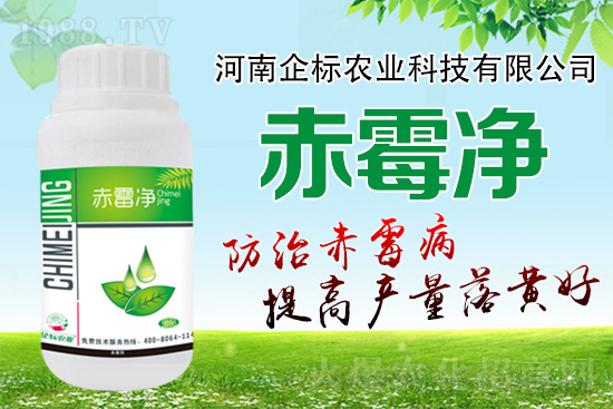 �o�����ѣ�δ��ʮ����С����ù�������P(gu��n)�I������(w��)��ץ����