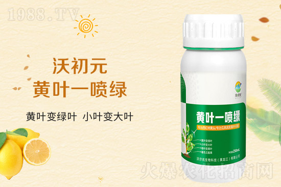 �����~Ƭ��ʲô�l(f��)�S��