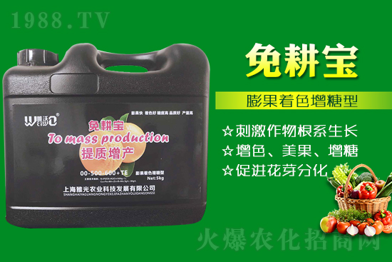 番茄催紅措施怎么做？有什么技巧？