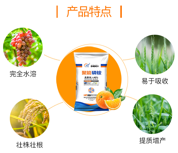 �ӱ������r�I(y��)�Ƽ����޹�˾_03