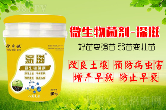 作物如何爆發(fā)式生根呢？生根養(yǎng)根方案快來(lái)看！