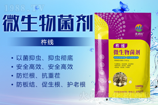 ����ĸ�ϵ���Q������Įa(ch��n)��