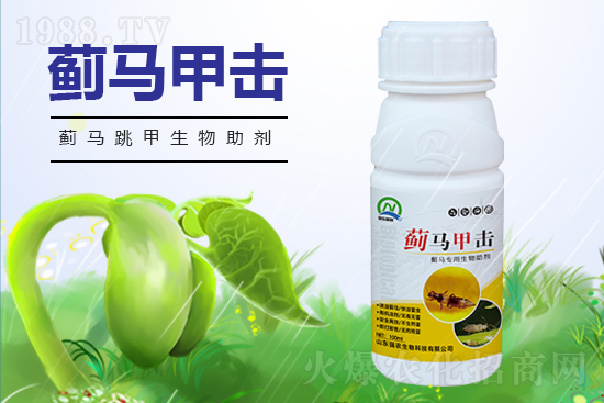 2022年棉花作物害蟲(chóng)棉薊馬發(fā)生預(yù)報(bào)