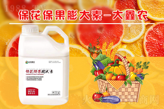 �ļ���������ٲ�������α������