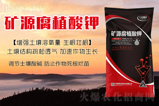 ����Nֲ��������(d��ng)�ׂ��������Ӹ��Ƹ�ϵ��r����