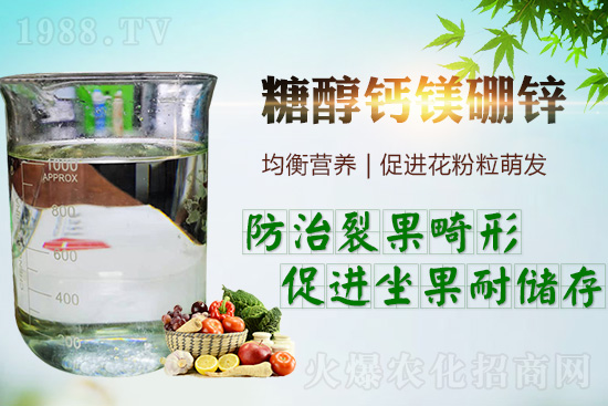     �����_���������ж���Ҫ���_�������ڵ����c��������