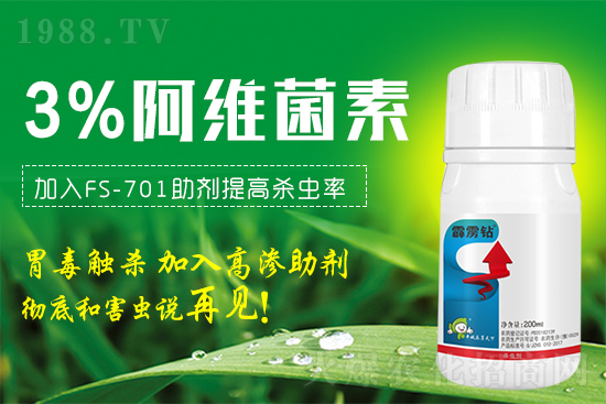 �@���x�����x���t֩�롢���x�β����������@�����䷽