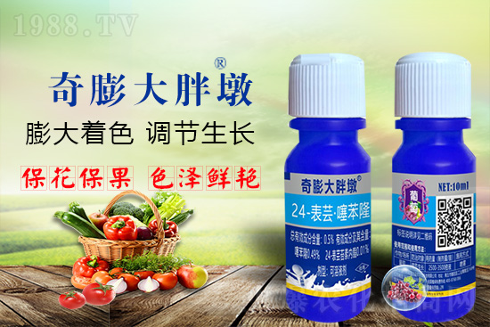     ������Ҫ�߮a(ch��n)��������P(gu��n)�I��������(sh��)���졢�D(zhu��n)ɫ�����u��ѣ����ڵĮa(ch��n)����Ʒ�|(zh��)�����������S��Ĺ��r(n��ng)���r(n��ng)������ӳ�Լҵ���������ס���������������������������������ܛ���չ�����r�l���l(f��)����