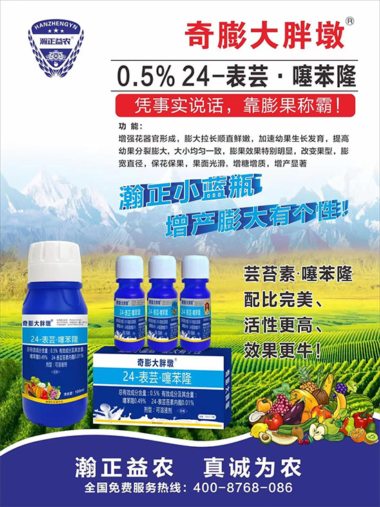     ������Ҫ�߮a(ch��n)��������P(gu��n)�I��������(sh��)�������D(zhu��n)ɫ�á��u��������ڵĮa(ch��n)����Ʒ�|(zh��)�����������S��Ĺ��r(n��ng)���r(n��ng)������ӳ�Լҵ���������ס���������������������������������ܛ���չ�����r�l���l(f��)����