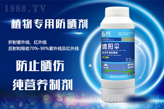 �ߜ������u������������E�[���쿴�������ˆ�? 