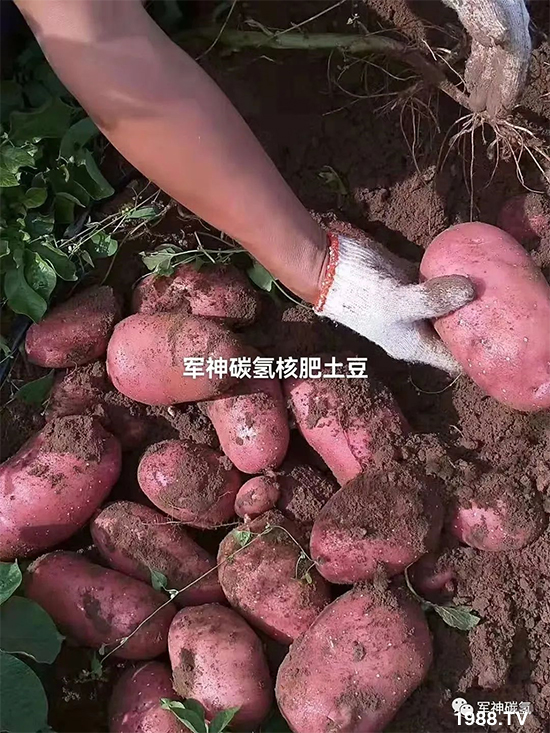 ɽ�|܊��̼?x��)�����Ƽ����޹��?8