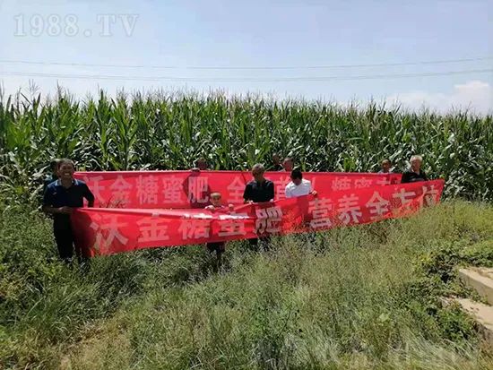     �@�����۷��r(n��ng)�YȦ������ԭ����Ȼ���ͳɱ��߷�Ч�_(k��i)��(chu��ng)����