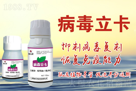破解植物病毒防治難題！快速恢復(fù)生機(jī)！這個(gè)藥打上就管用！