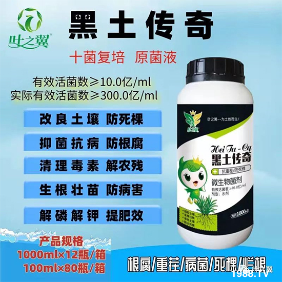 �����~֮������Ƽ����޹�˾6