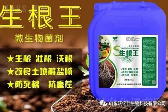 作物重茬、爛根死棵嚴(yán)重啥原因？如何改善這些難題？