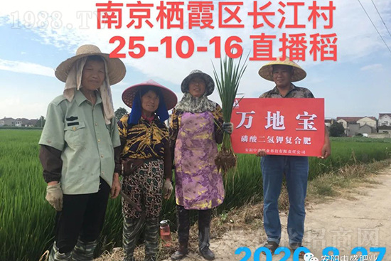 ˮ�����Y���Ì�(du��)�a(ch��n)���ж��Ӱ������M(j��n)ˮ�����Y��ô����