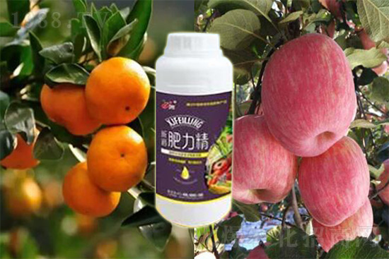 ����׷�ʏ�(f��)�Ϸʺ�߀�����غ����ܶ��˶��e(cu��)�ˣ����������_�x��