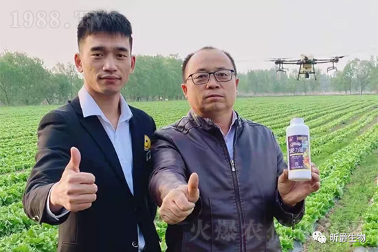 ����׷�ʏ�(f��)�Ϸʺ�߀�����غ����ܶ��˶��e(cu��)�ˣ����������_�x��