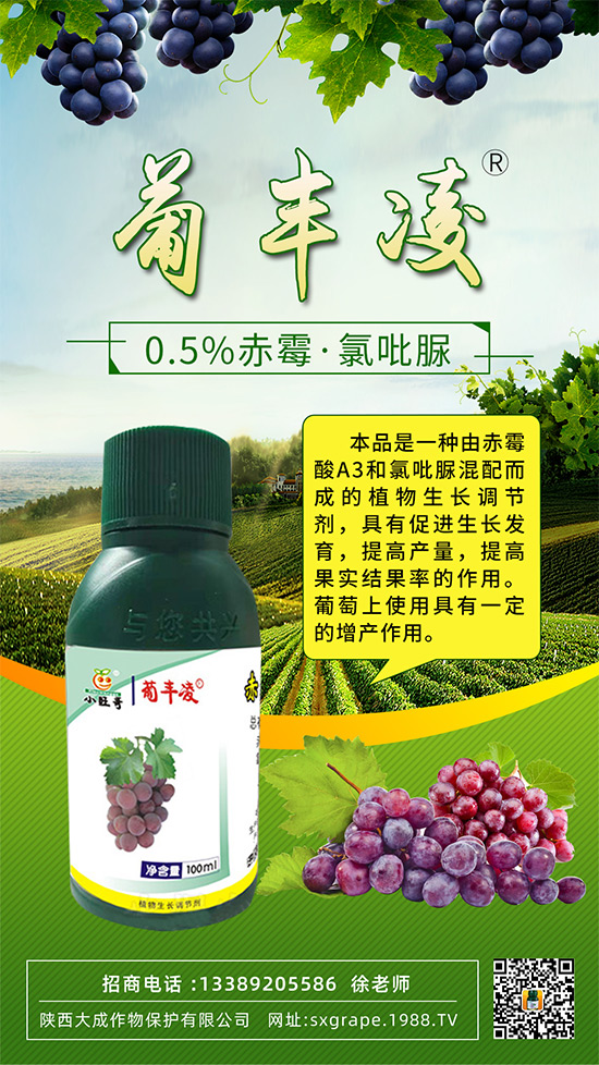 ���ѹ���ϡ������С��������ô�k���@Щ�����ஔ(d��ng)��Ҫ