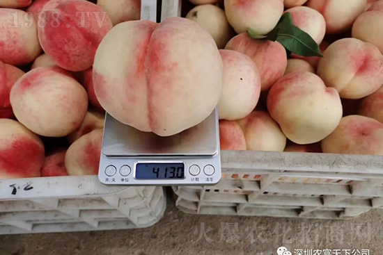 �Ҙ������ô�k���Ҙ����ԭ���A(y��)������