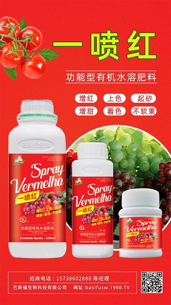 ����(sh��)�D(zhu��n)ɫ����������������������u�r(ji��)������ǰ���У�