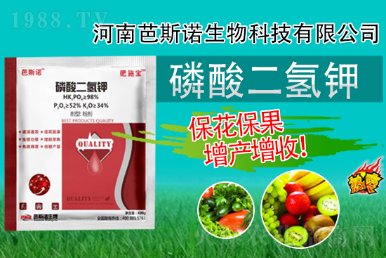 �������⛾����@�����r�g�c�ã��e�^���±�������