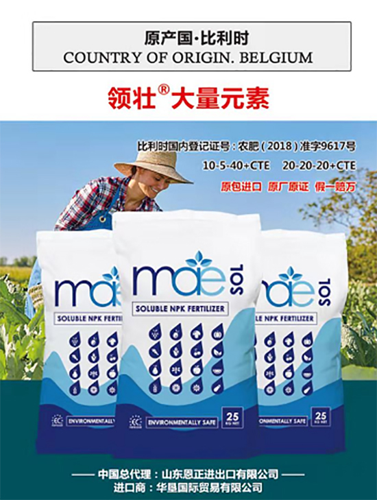 ��500�2000���߶��M(j��n)�ڷʡ��ԃr(ji��)�Ȱ�����