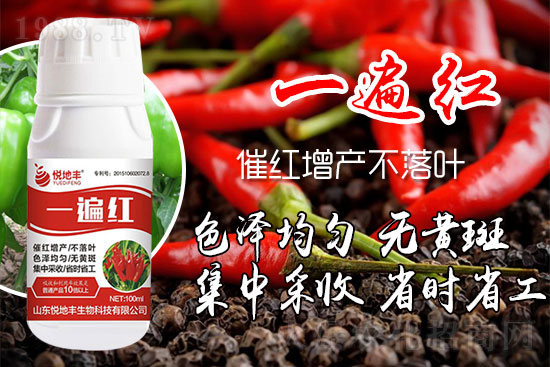 ������ʲôҪ���t���������t��ɫ�Ă����Ӻ���