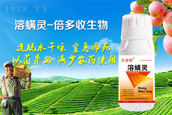 夏季二斑葉螨爆發(fā)怎么辦？二斑葉螨應該怎樣防治？