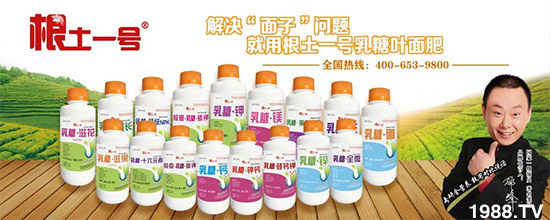 ɽ�����r(n��ng)�����＼�g(sh��)�ɷ����޹�˾6