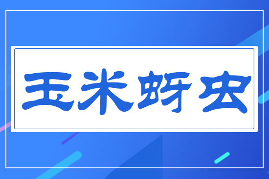 �������x