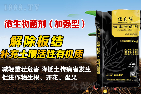 礦源黃腐酸鉀你了解多少？礦源黃腐酸鉀遇見微生物菌劑有啥奇妙反應(yīng)？