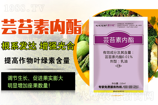 �|̦�؃�(n��i)����ɶ���Q(ch��ng)��ֲ�����ˎ���|̦�؃�(n��i)����ô�x��