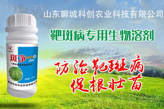 �S�ϰа߲�Σ��������������δ�ʩ����Щ��