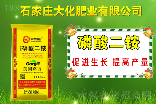 戰(zhàn)略合作再升級，石家莊大化肥業(yè)再次簽約1988.TV！