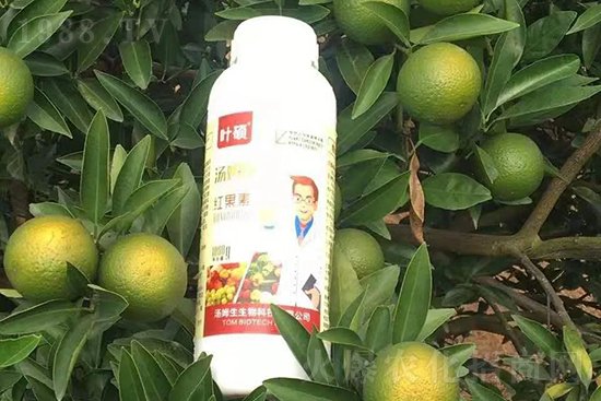 �t���ء�ֻ���D(zhu��n)ɫ�������D(zhu��n)ɫ�졢�����߼t���ó���