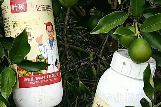 �t���ء�ֻ���D(zhu��n)ɫ�������D(zhu��n)ɫ�졢�����߼t���ó���