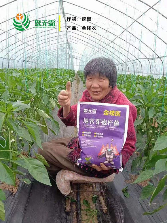 金縷醫(yī)地衣芽孢桿菌-聚無(wú)霸3