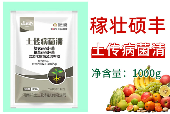 ����������-�ډѴT�S_03