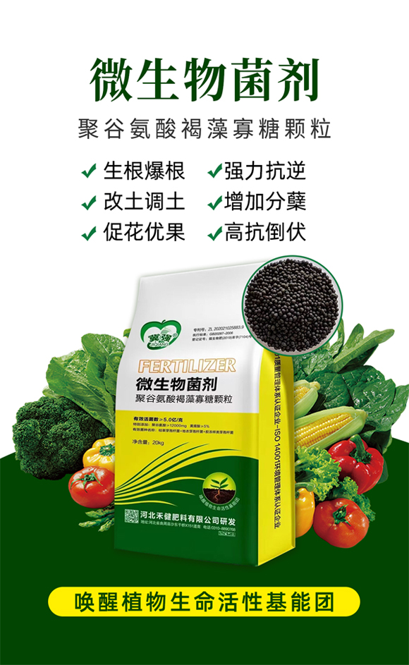 聚谷氨酸褐藻寡糖顆粒-禾健_01