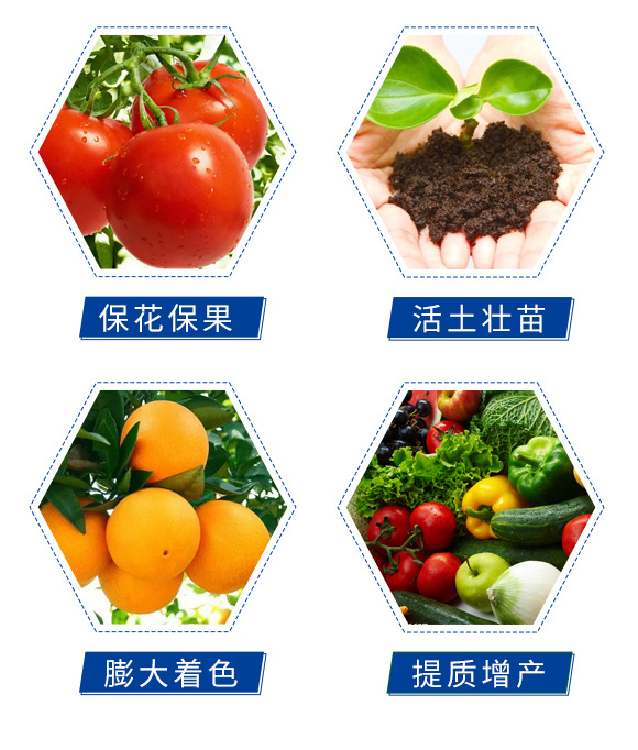 �������|(zh��)�_ʩ��-�Θ���_05