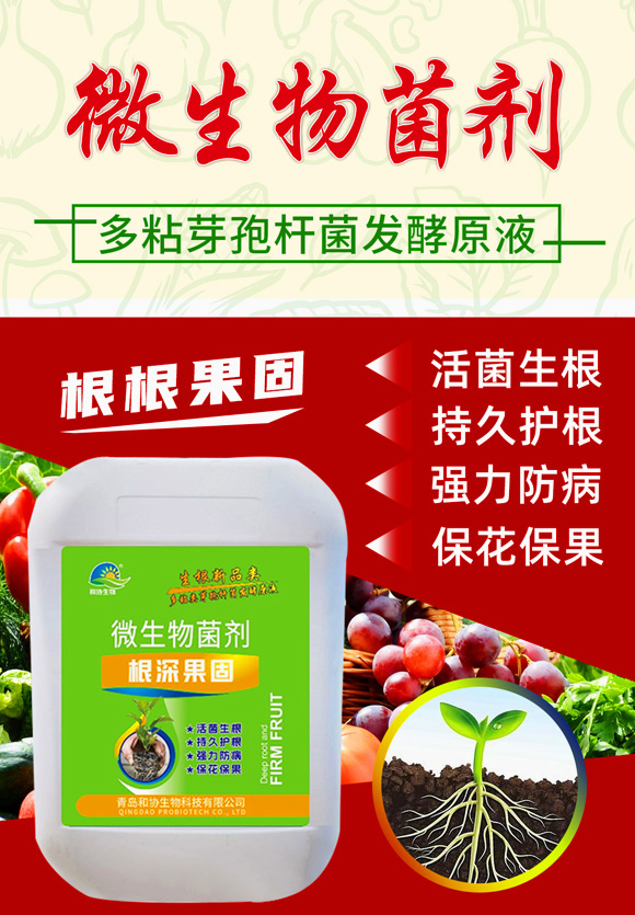 �������-�ͅf(xi��)����_01