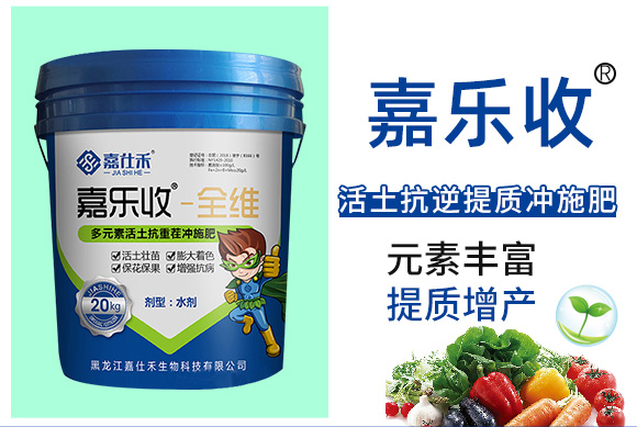 �������|(zh��)�_ʩ��-�Θ���_03